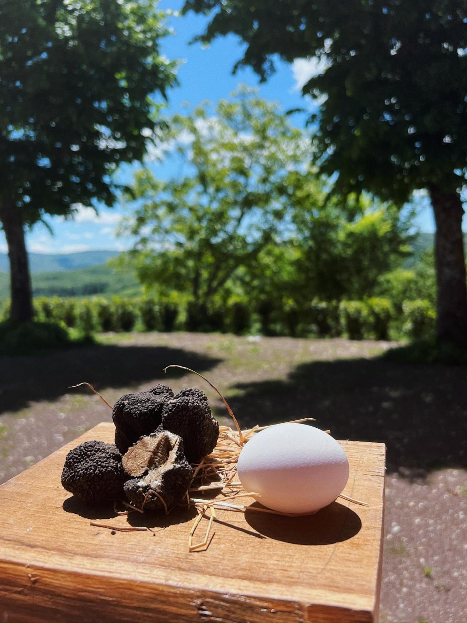 Fattoria Del Borgo In Sabina Villa Rieti Exterior photo