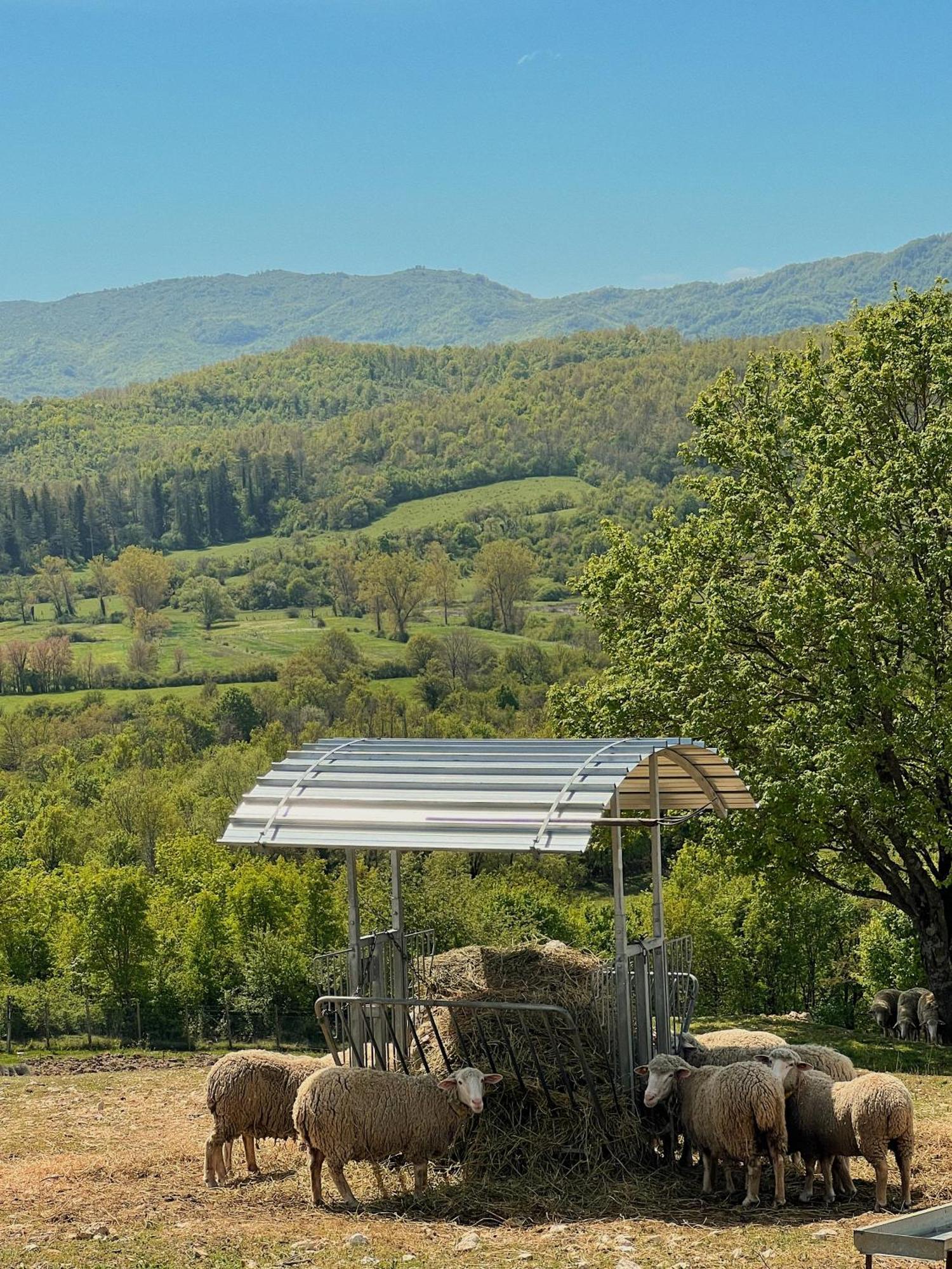 Fattoria Del Borgo In Sabina Villa Rieti Exterior photo